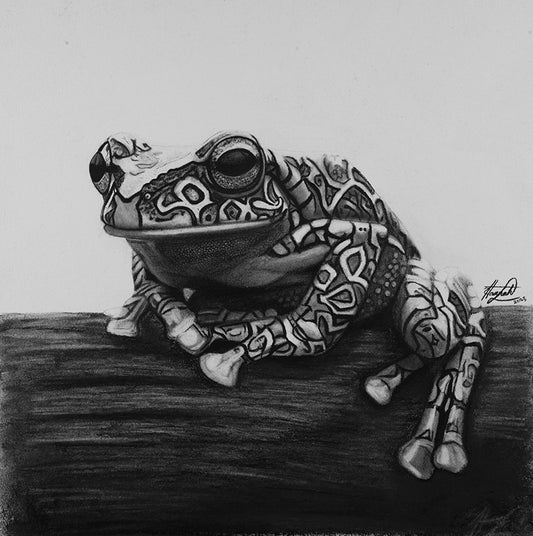Kambo
