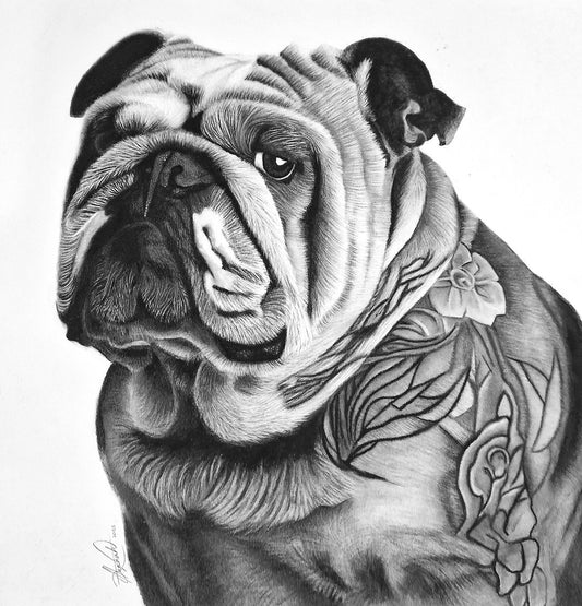 Loyal